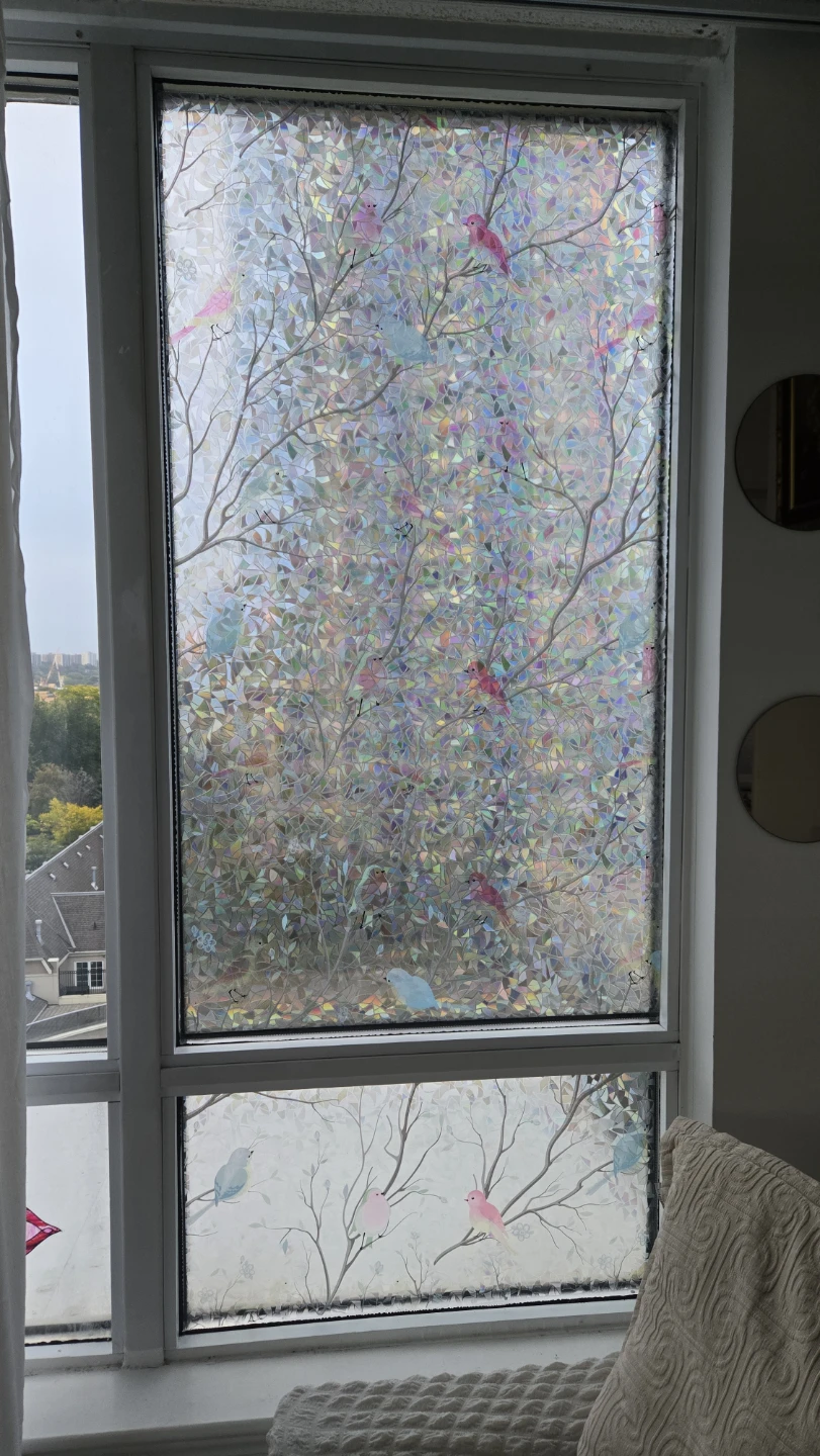 Static Window Privacy Films with Bird Design - photo 5