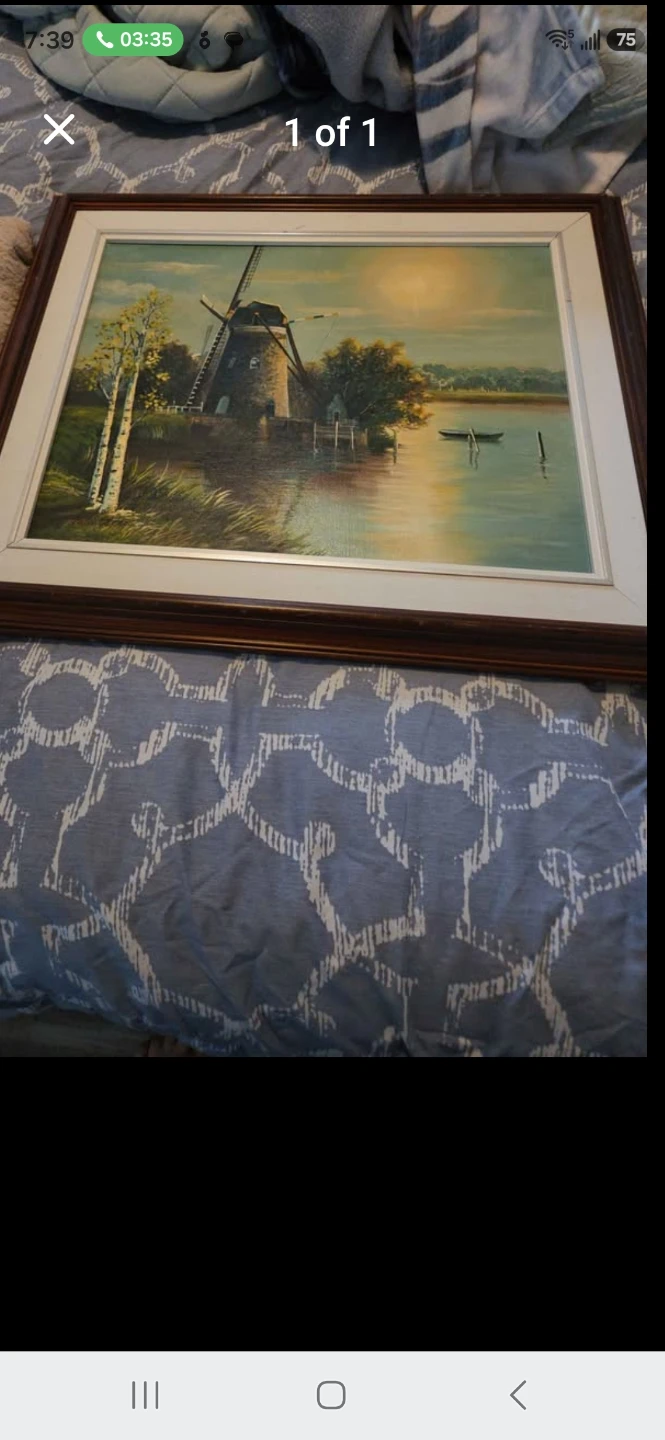 Framed Picture