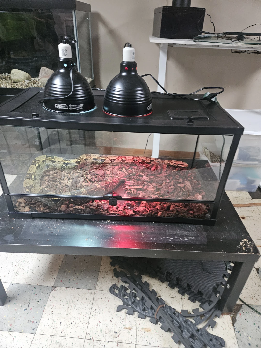 Thrive Glass Reptile Tank with Heating Lamps - photo 2