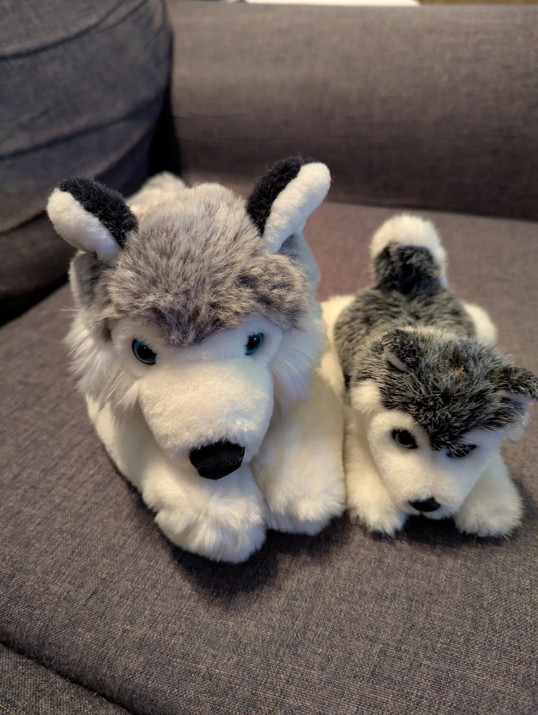 Husky plush toys