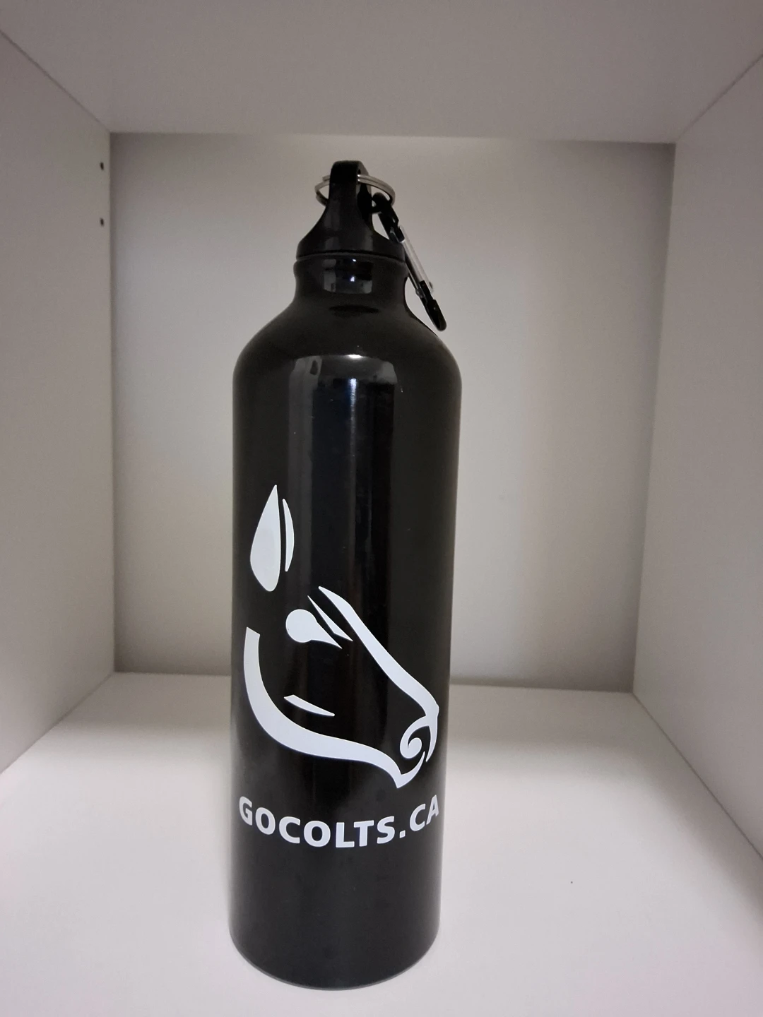 Black Gocolts.ca Water Bottle