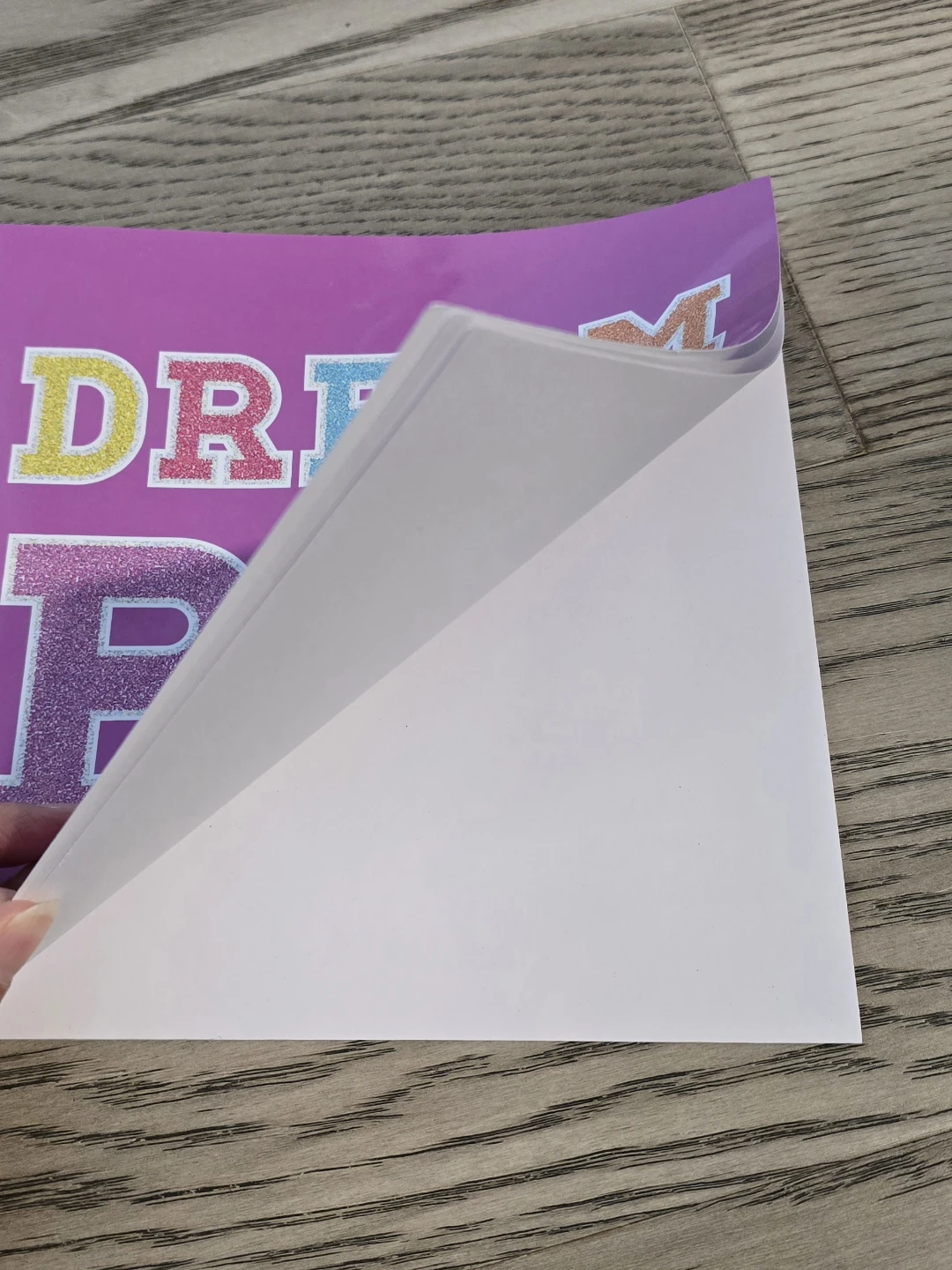Blank Books (Pack of 4) - photo 4