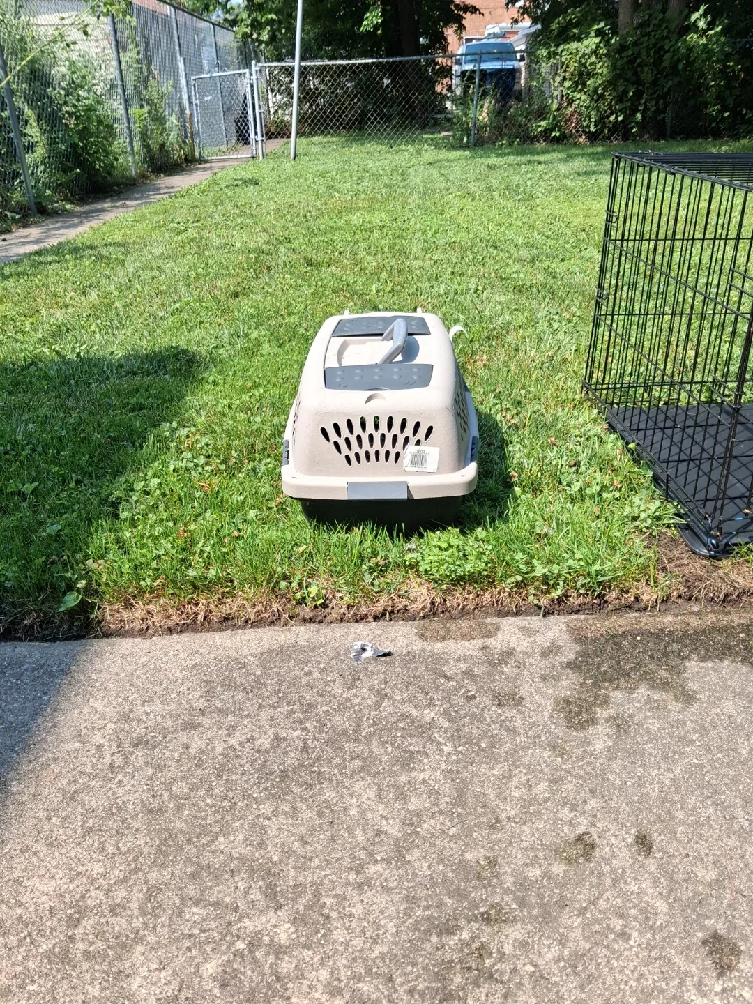 Pet Carrier