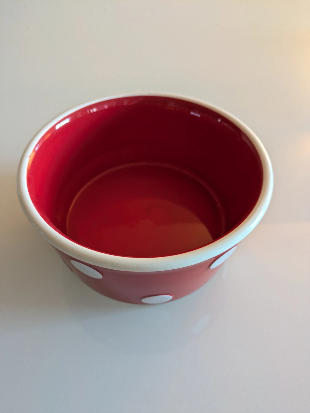 Dog Bowl - photo 2