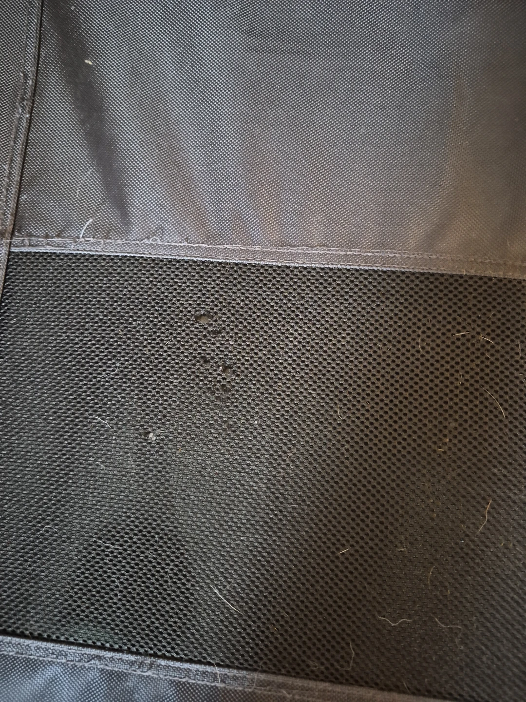 Raised Dog Bed - photo 3