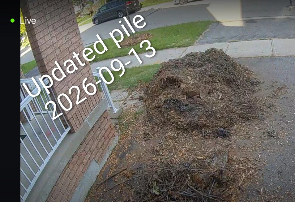 Free Arborist Wood Chips in Greensborough - photo 2