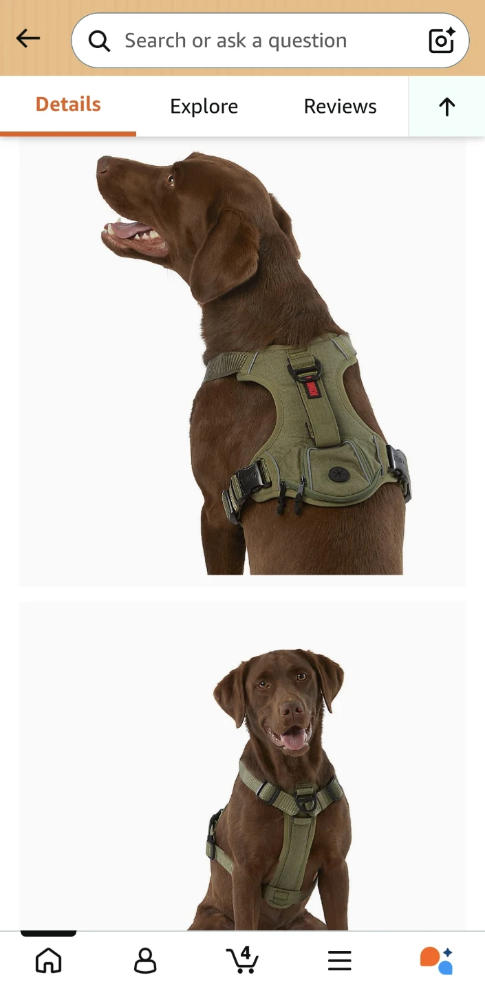 🐕Large dog bundle items! - photo 3