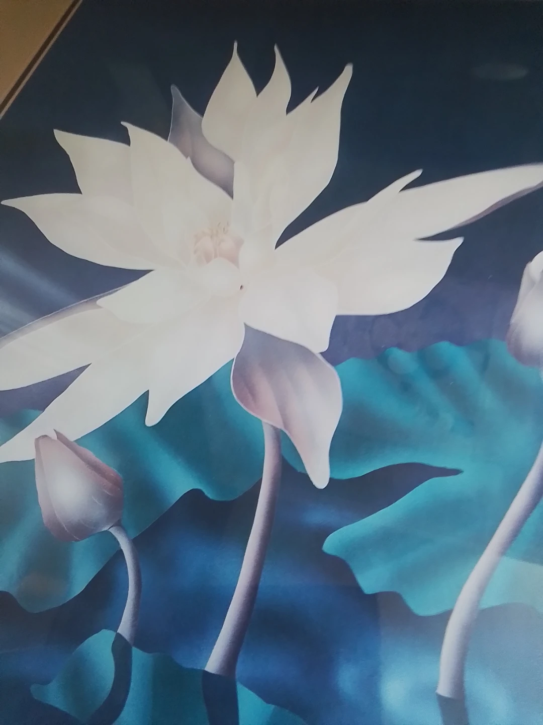 Justin Coopersmith Framed Lotus Print - photo 3