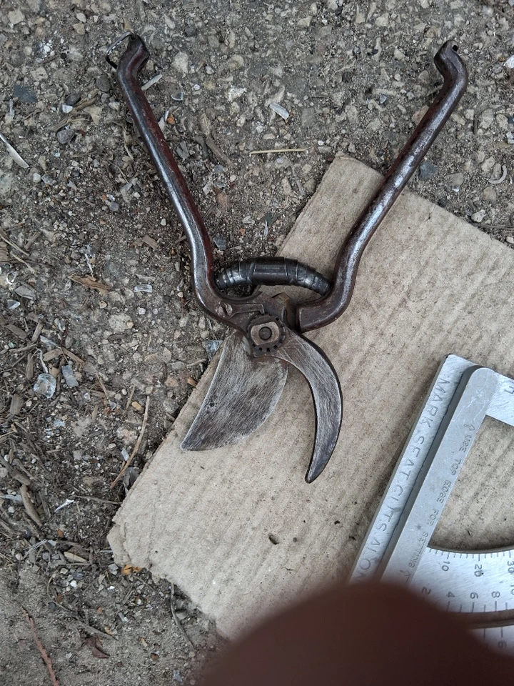 Royal pruning shears - photo 2