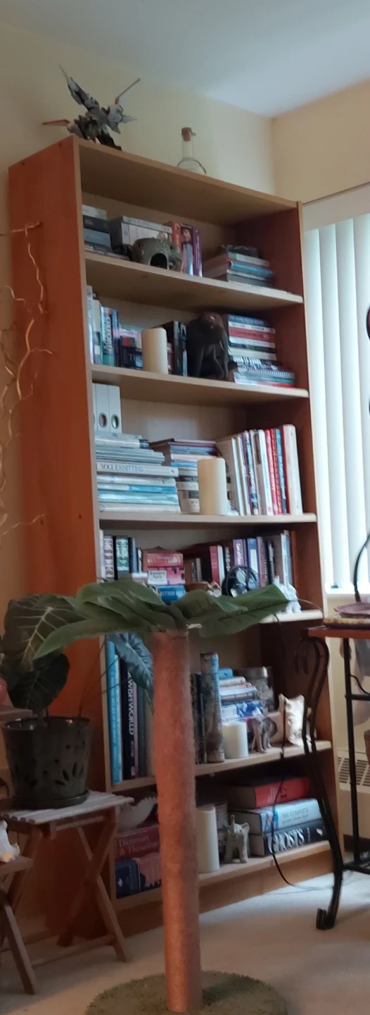 Tall Wooden Bookshelf
