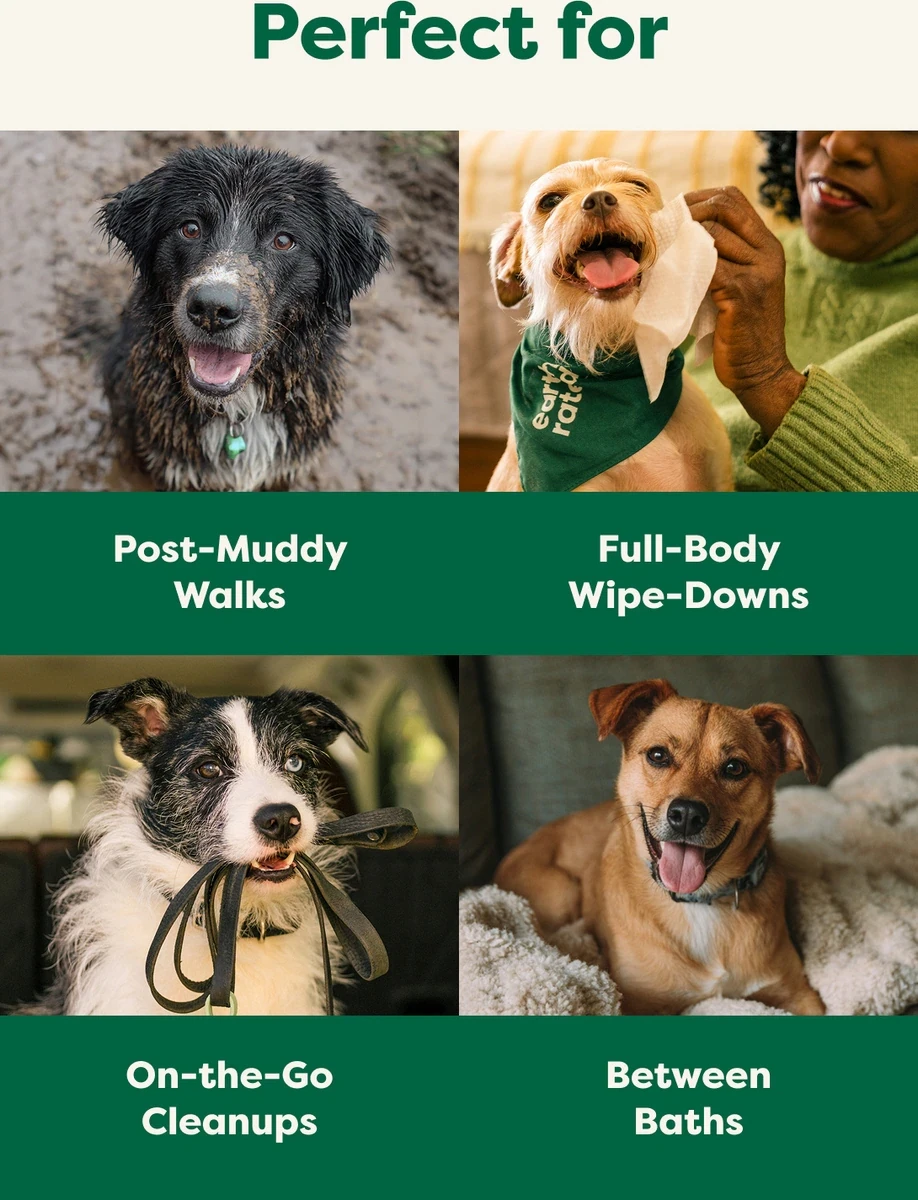 Earth Rated 400 Count Fragrance-Free Pet Wipes - photo 5