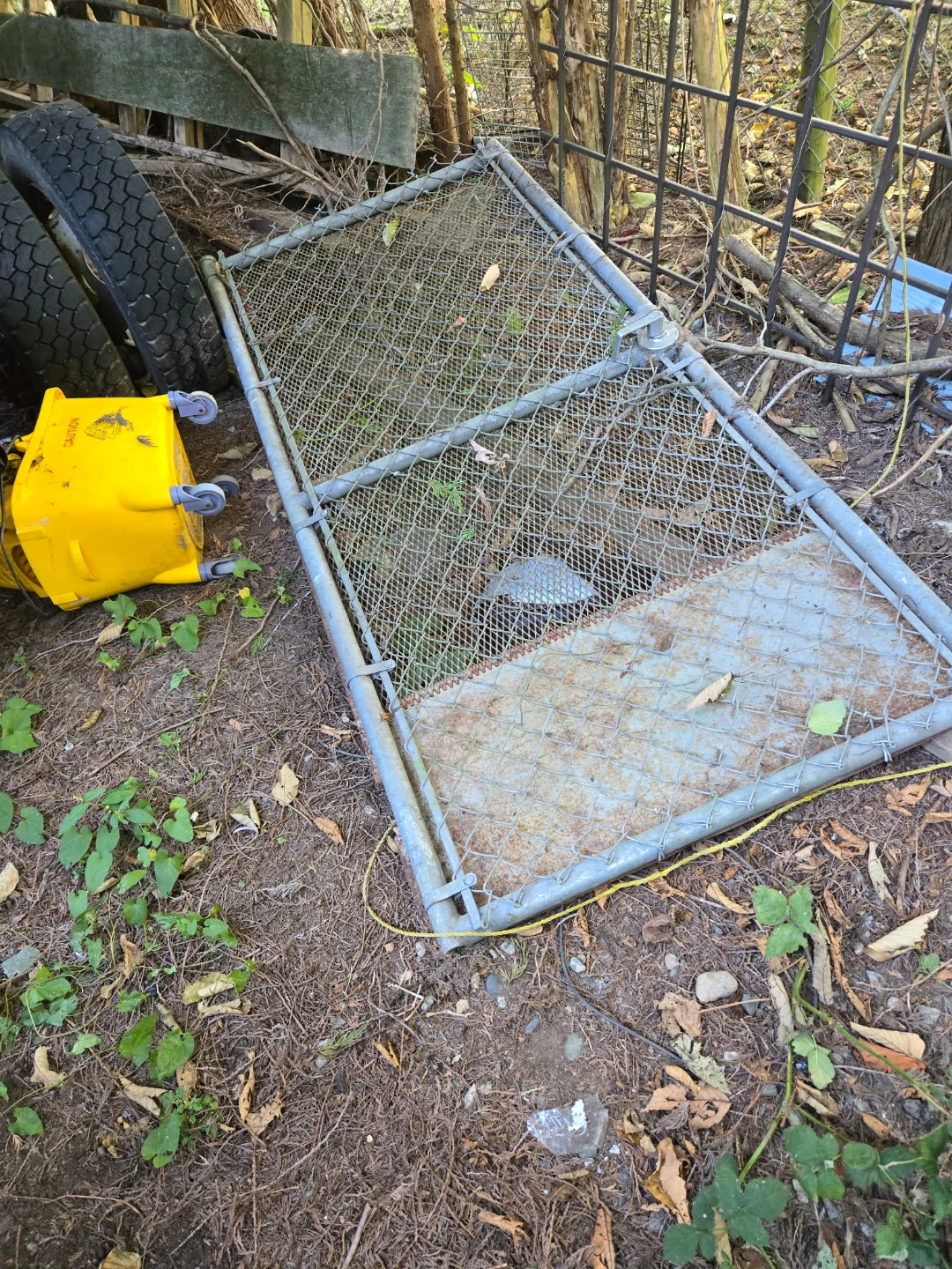 Chain Link Gate