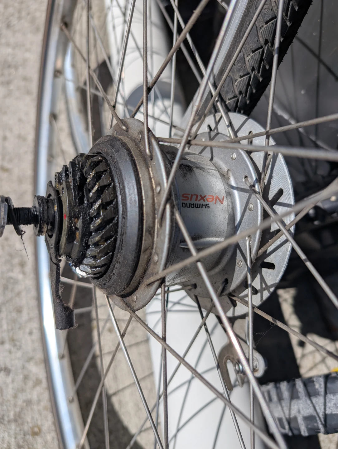 700c  Wheelset – Shimano Nexus 7-Speed Hub & Disc/Roller - photo 5