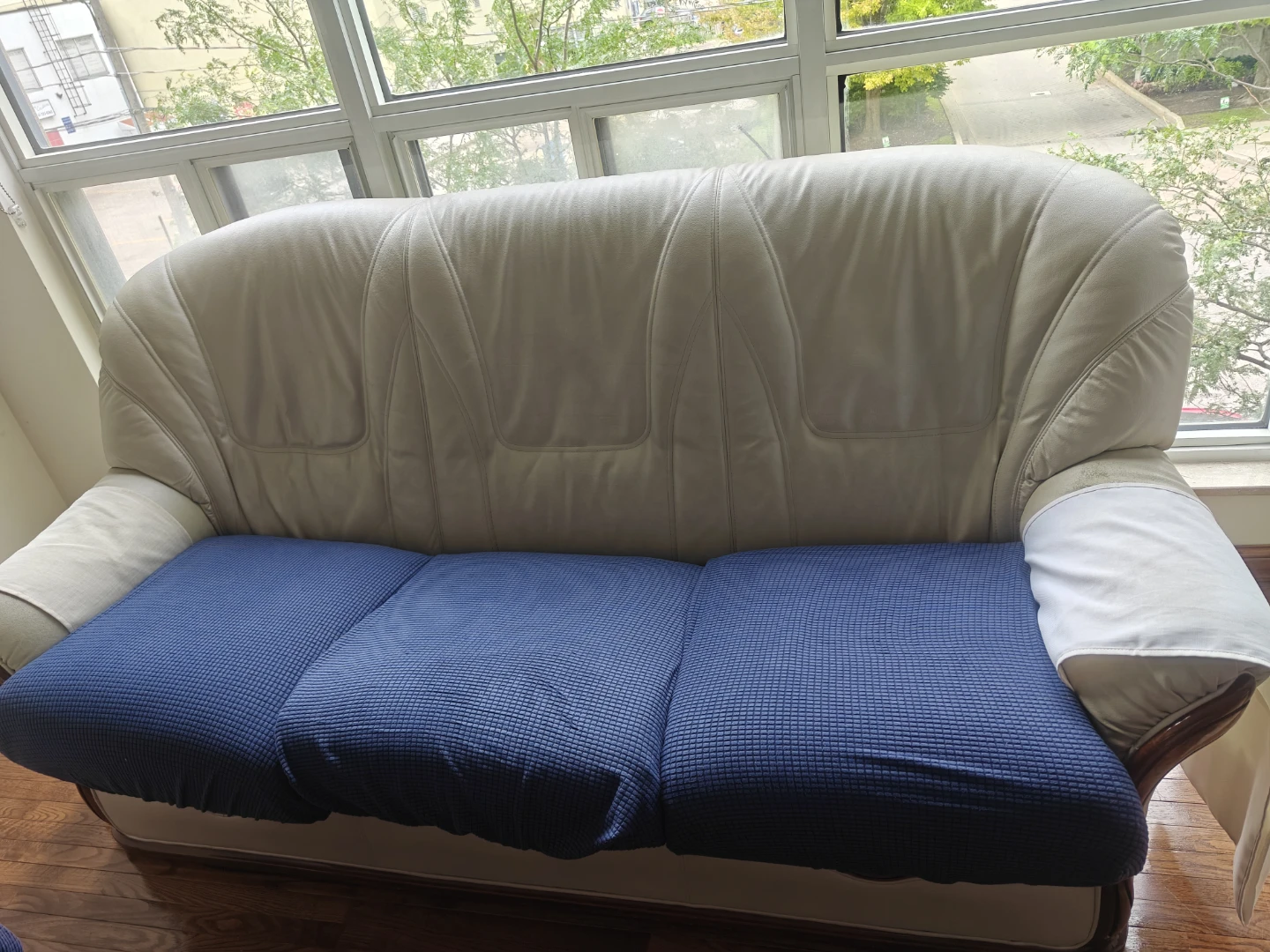 Living Room Sofa and Armchair Set