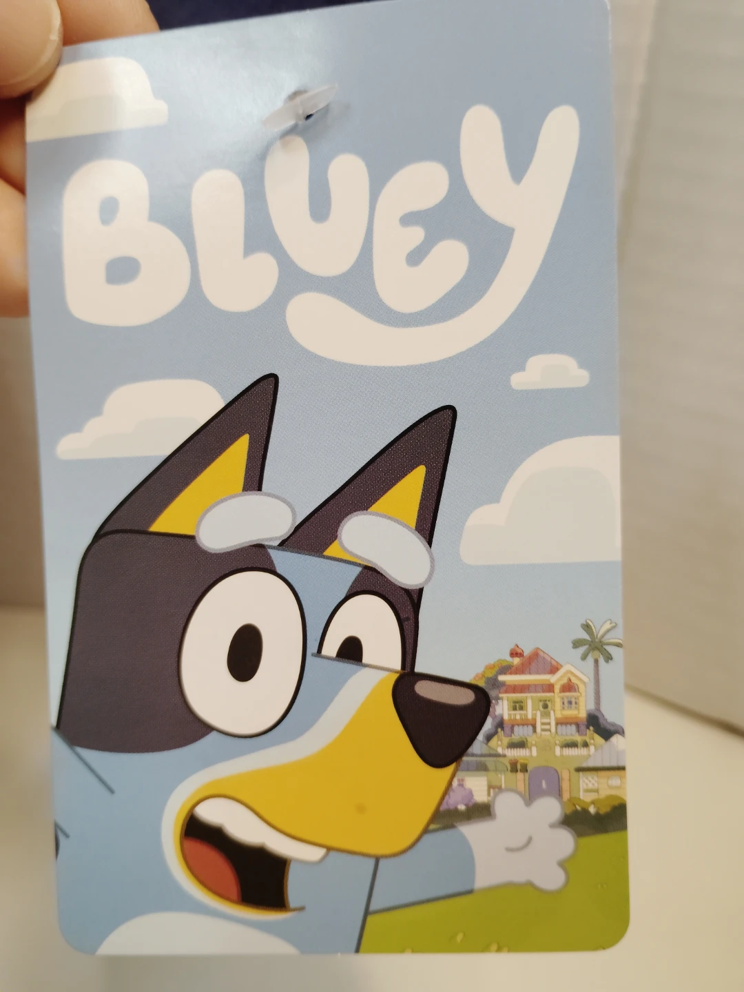 Bluey Pajama Set size 4 - photo 3