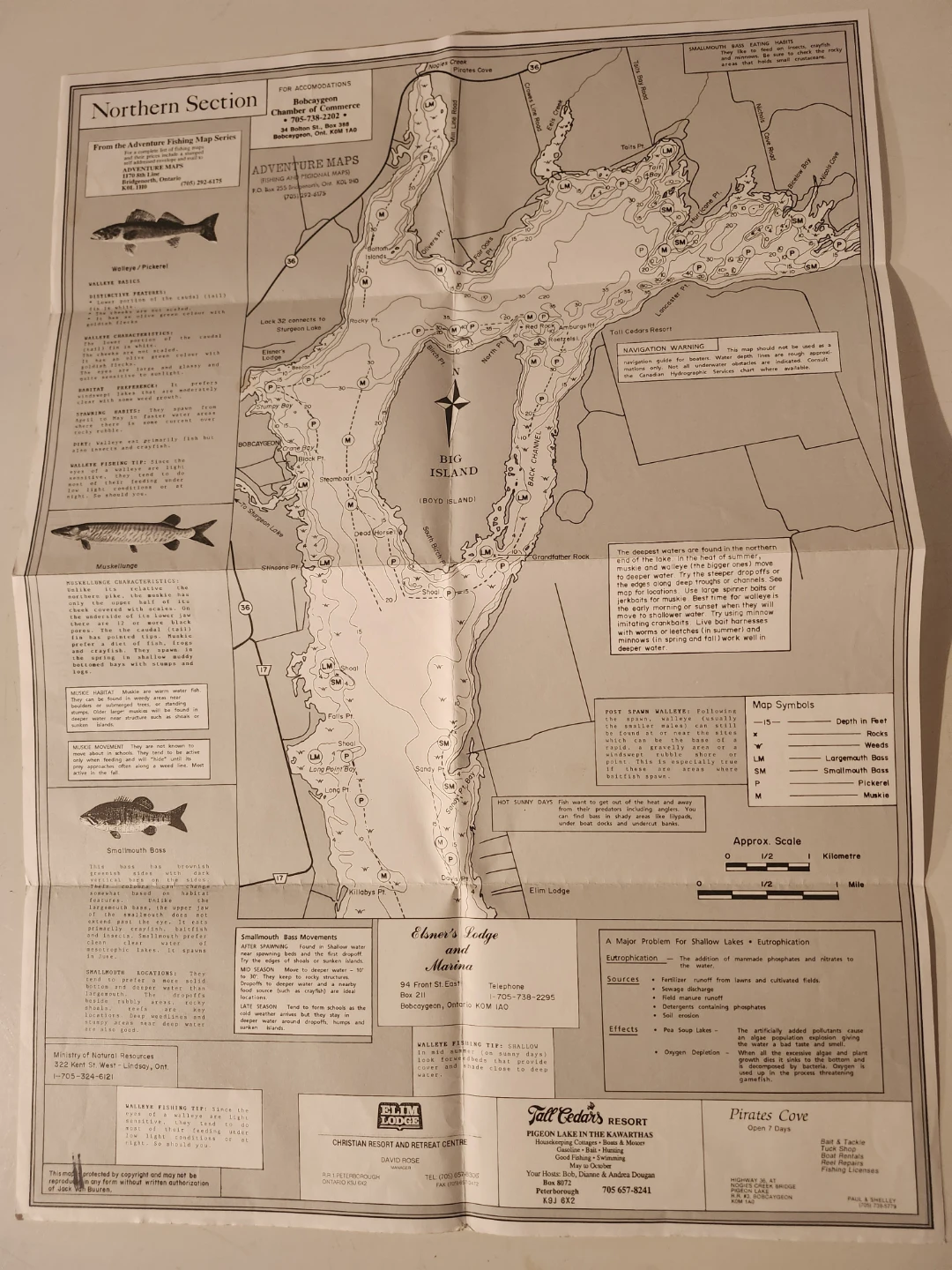 Fishing maps, books, road & regional maps - photo 3