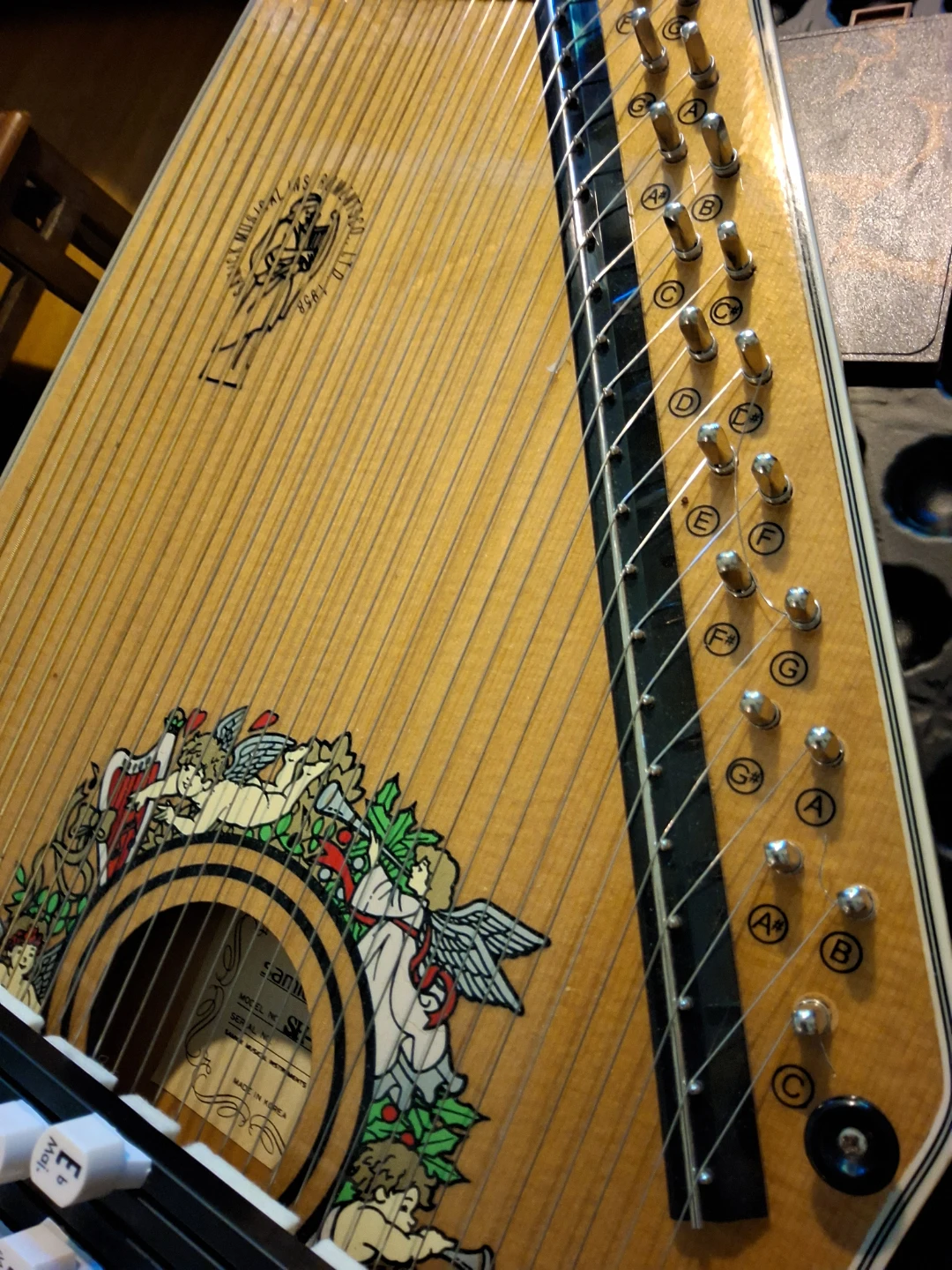Autoharp Samick - photo 4