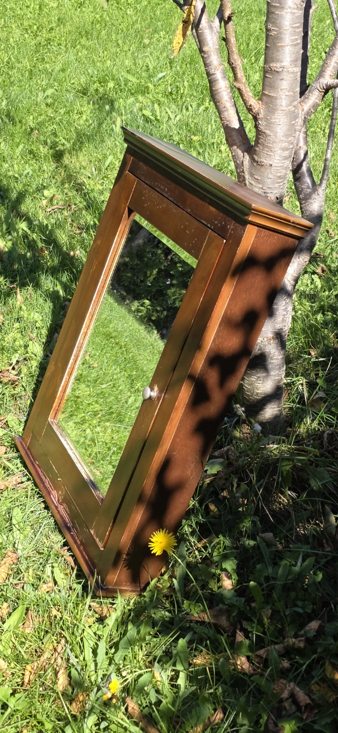Wooden Medicine Cabinet with Mirror - photo 4