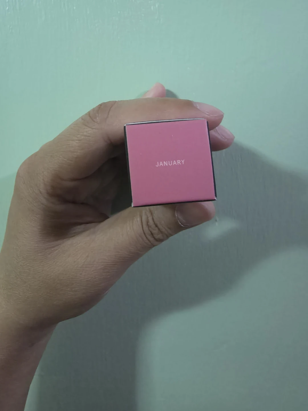 Ciele blush & PROTECT SPF 50+ Liquid Blush - January 🏈 - photo 3
