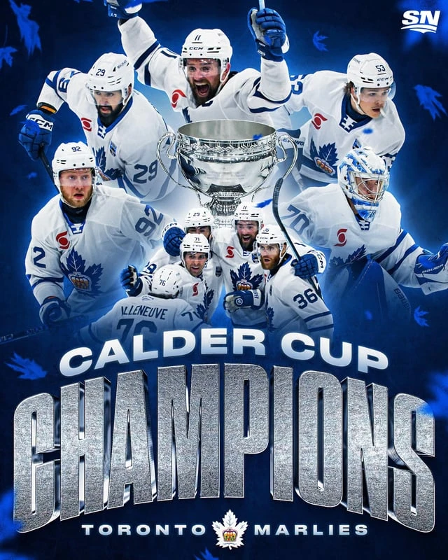 Toronto Marlies seats