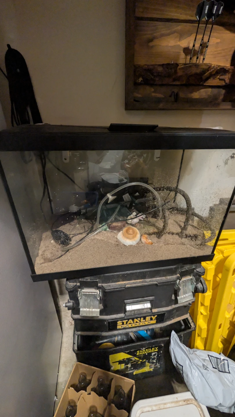 Hermit crab Aquarium and accessories