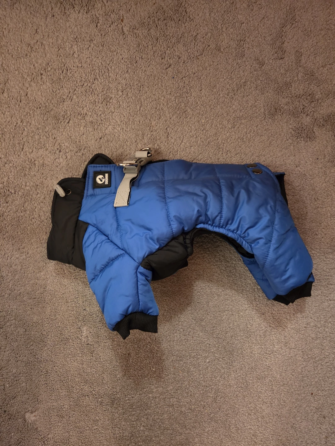 Medium Blue Dog Winter Jacket