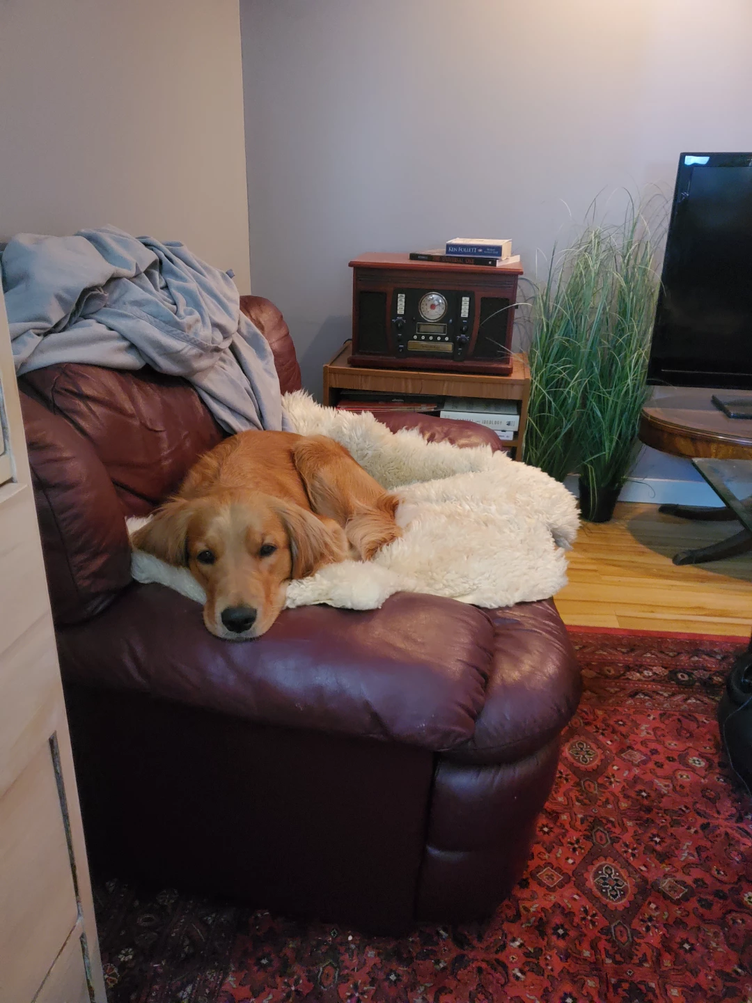 Free lounge chair