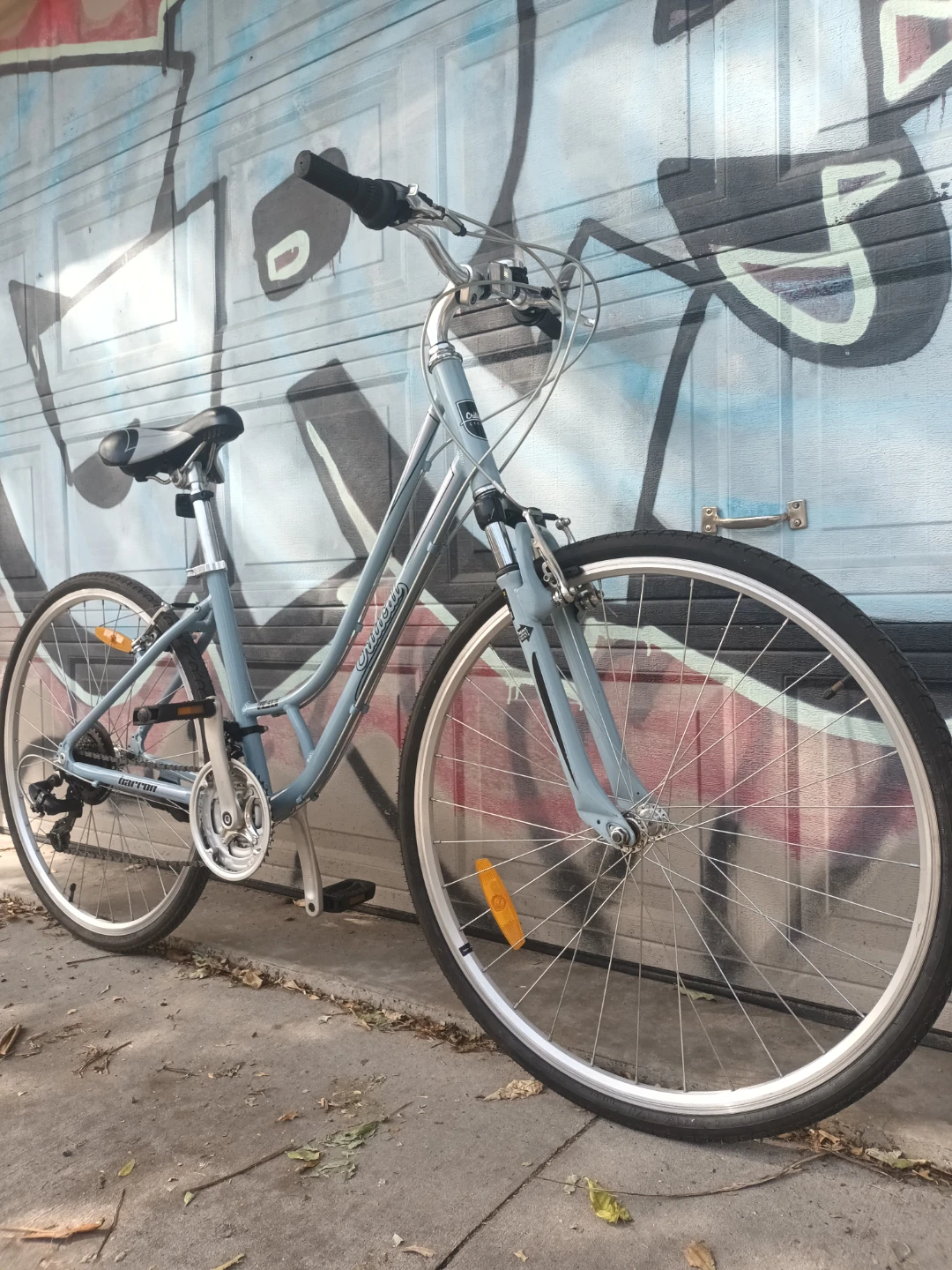 Small Frame Women's Bike