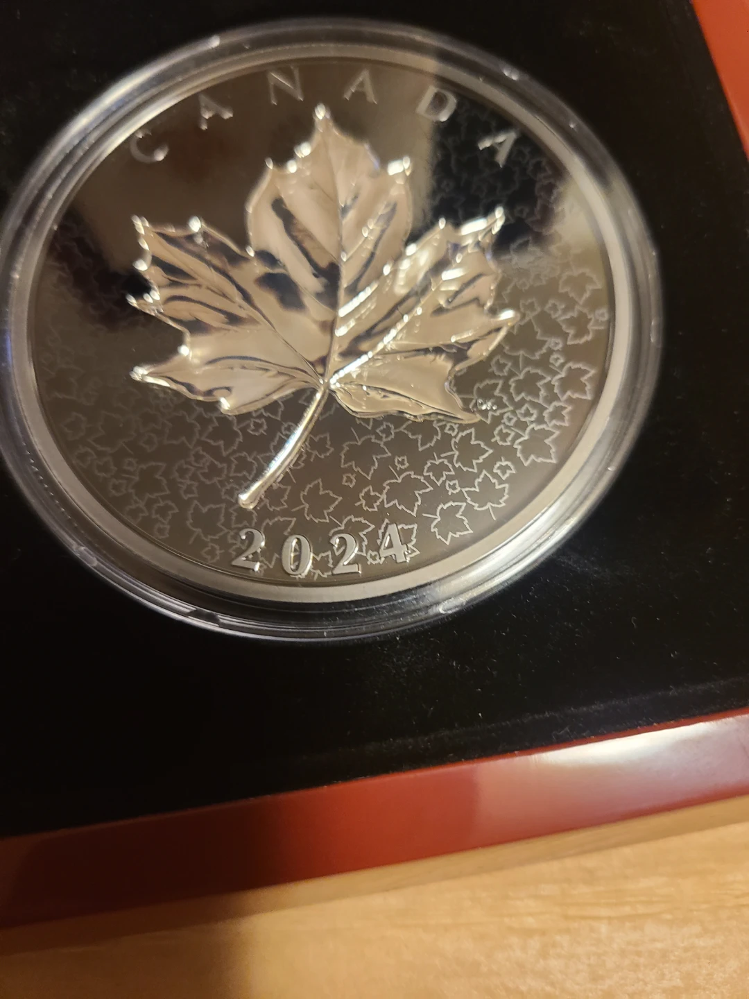 2024 $50 Fine Silver Coin Maple Leaves in Motion - photo 2