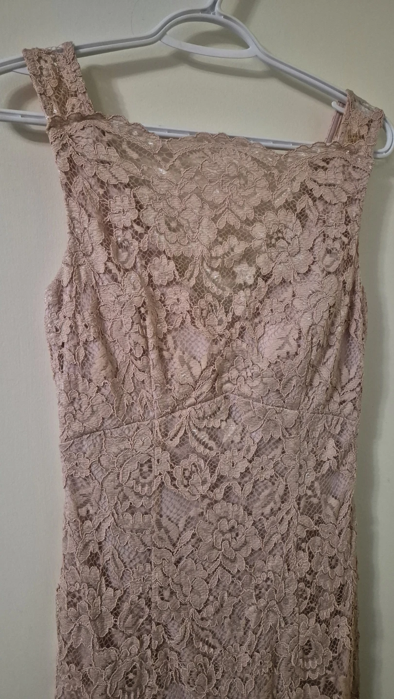 Le Chateau pink lace dress size 2 - photo 4