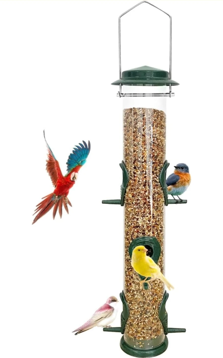 Green Bird Feeder