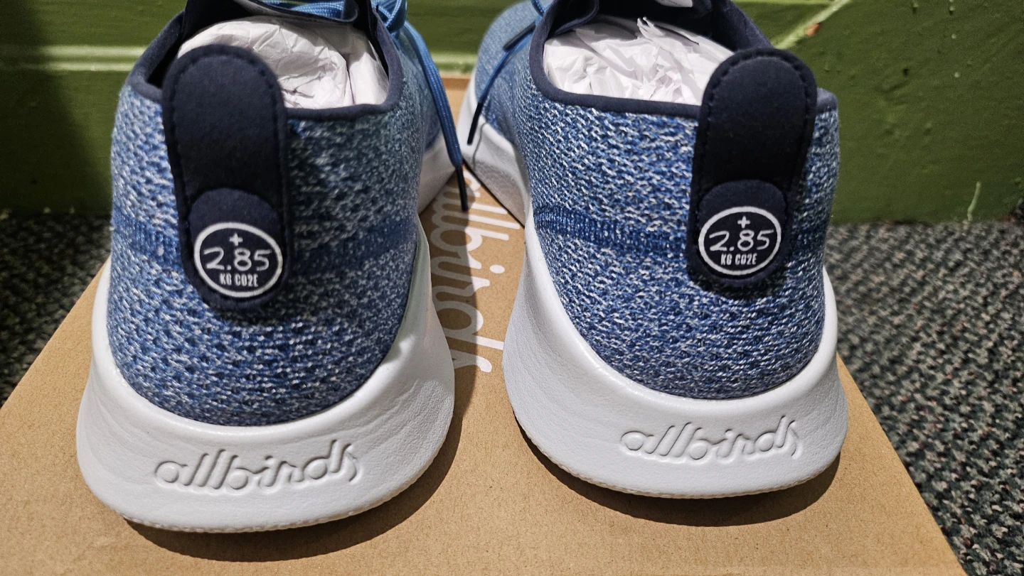 Allbirds SuperLight Tree Runners - photo 4