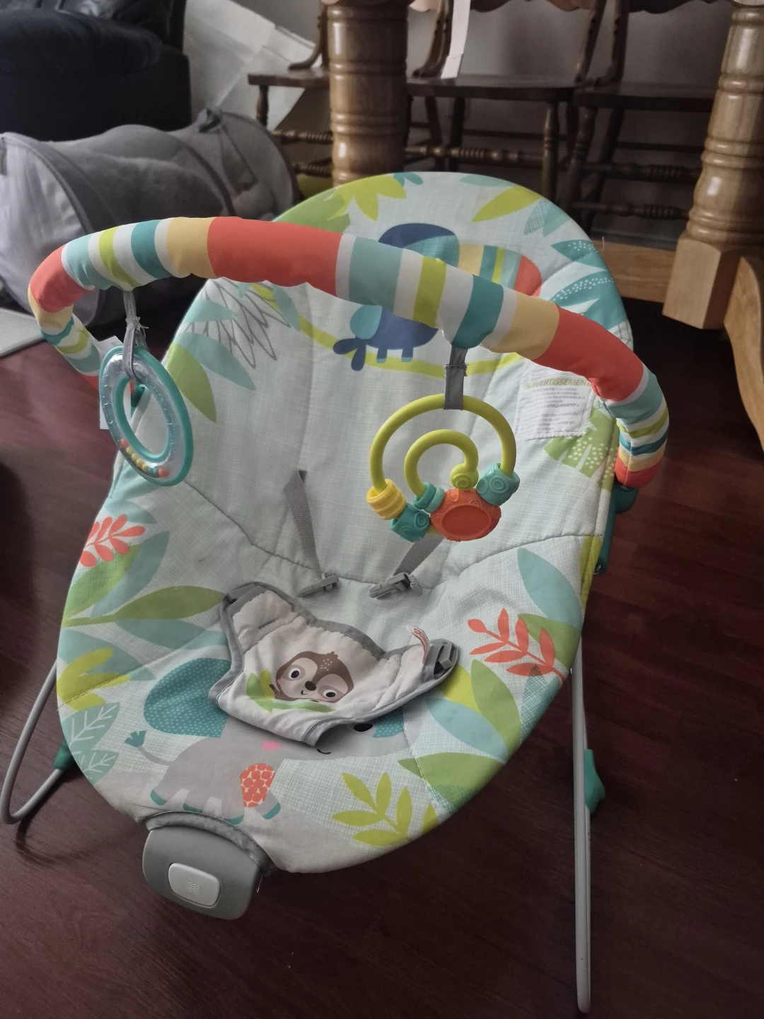 Fisher-Price Infant Bouncer