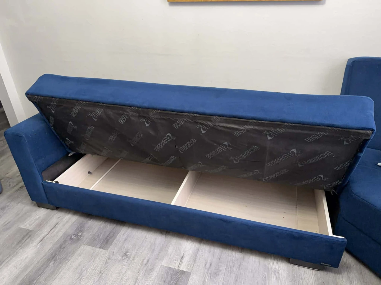 L-Shaped Sleepe Sofa Sectional w/ Storage Seats - photo 5