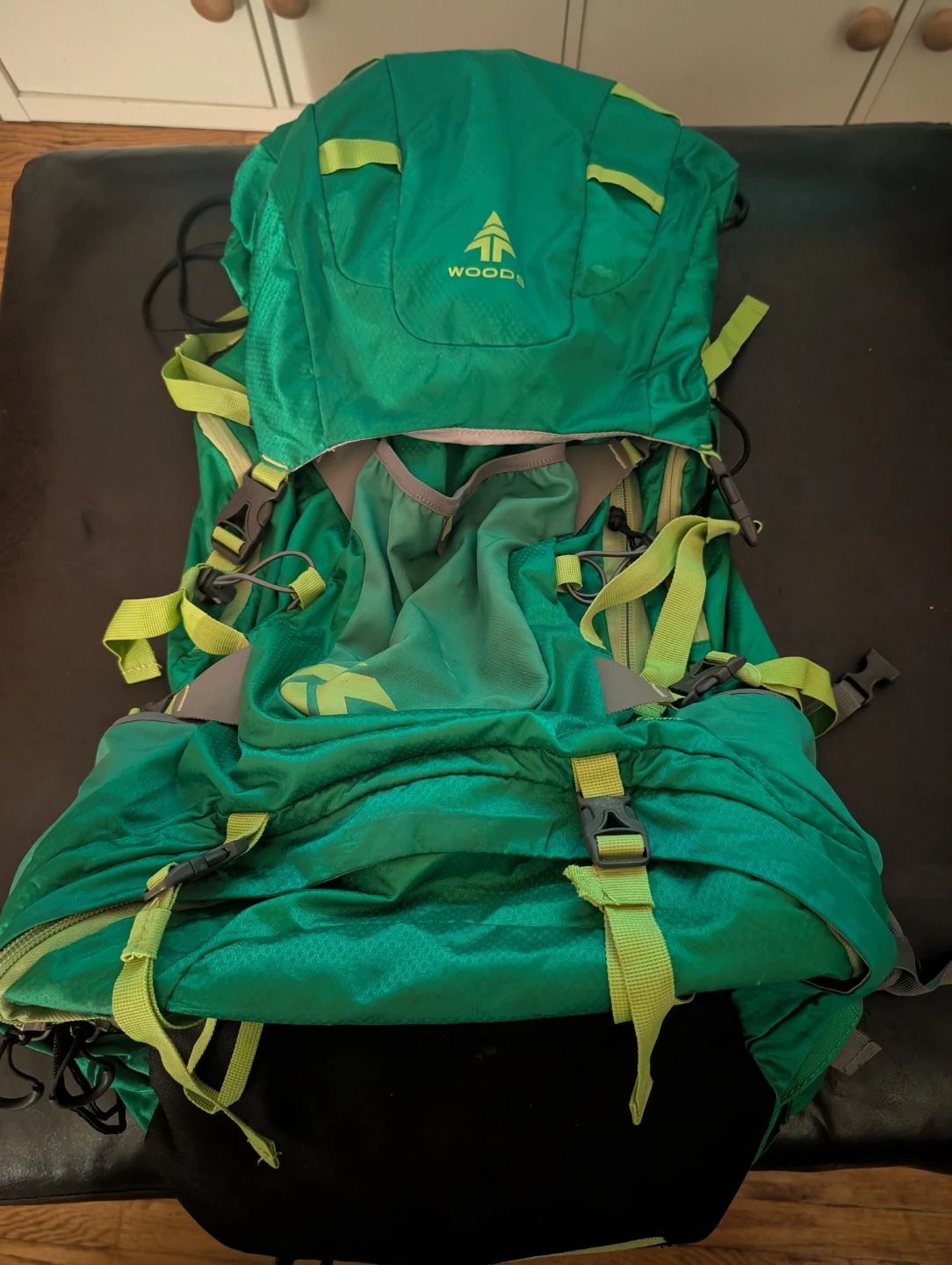 Woods Camping-Hiking Backpack