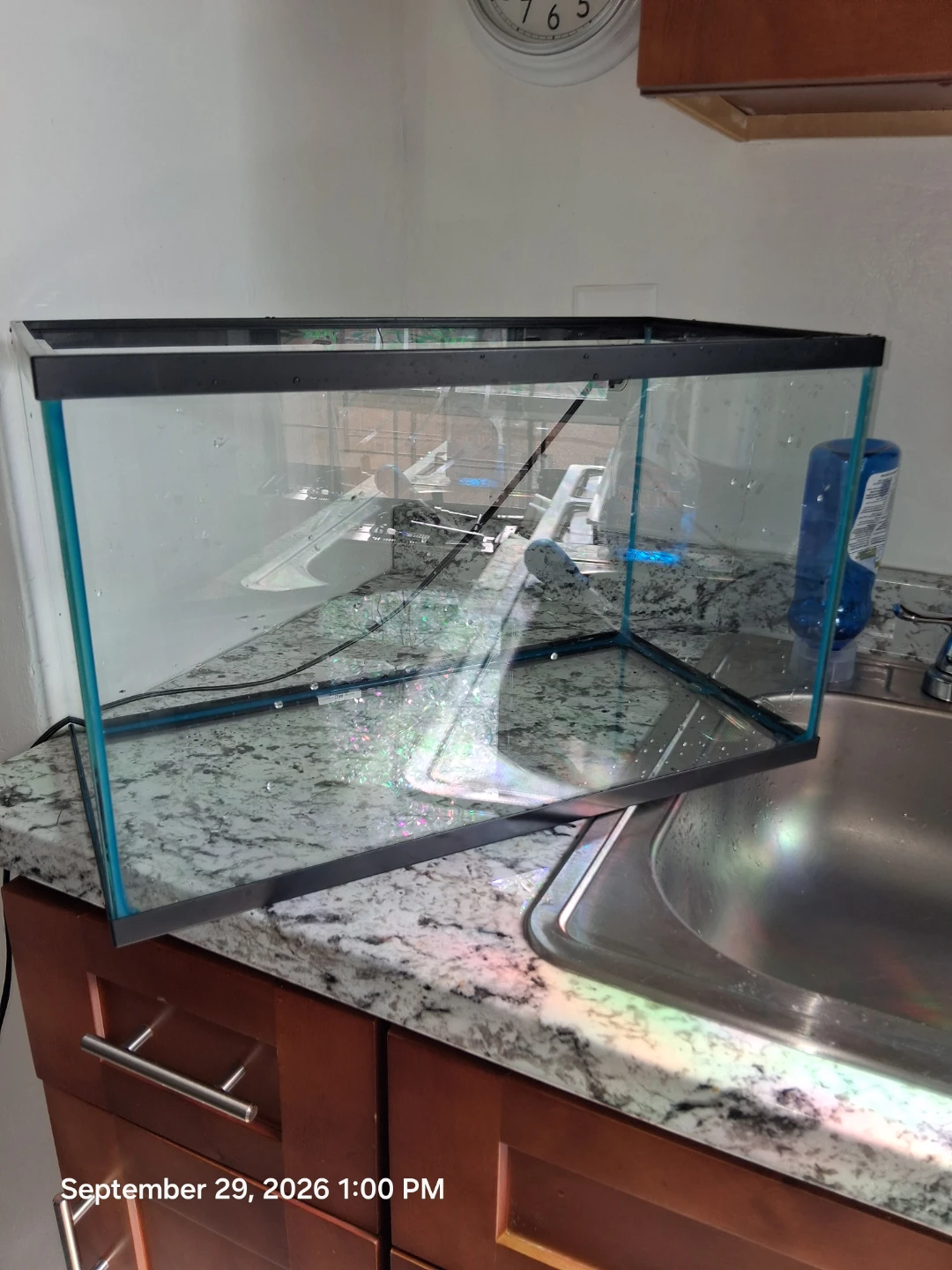 10 gallon Glass Aquarium Tank