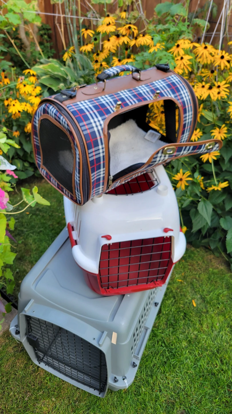 3-Pet Carrier Set - -$20 each - photo 3