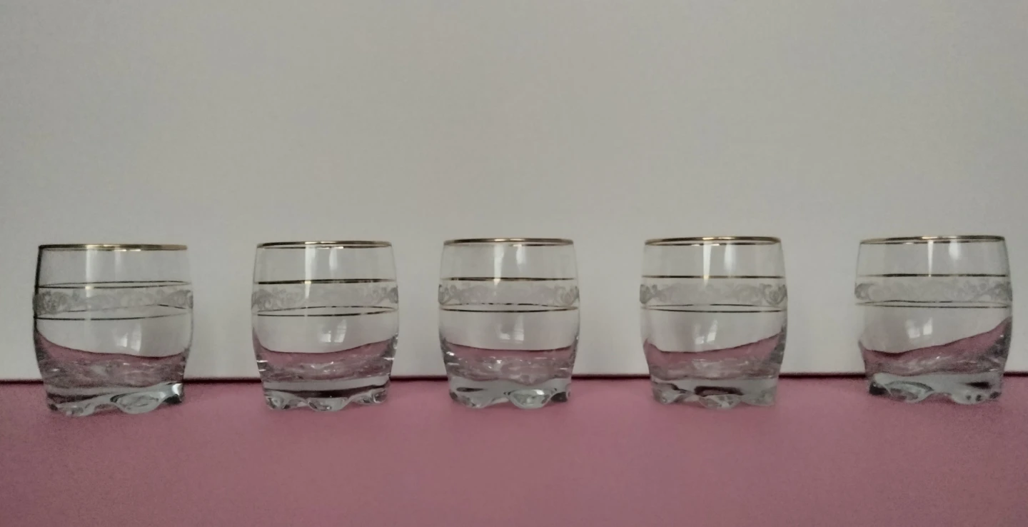 Set of 5 Vintage Etched Glass Tumblers with Gold Rim