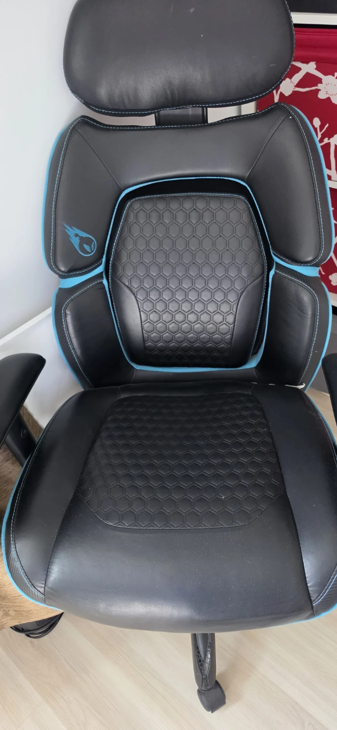 Black and Blue Gaming Chair