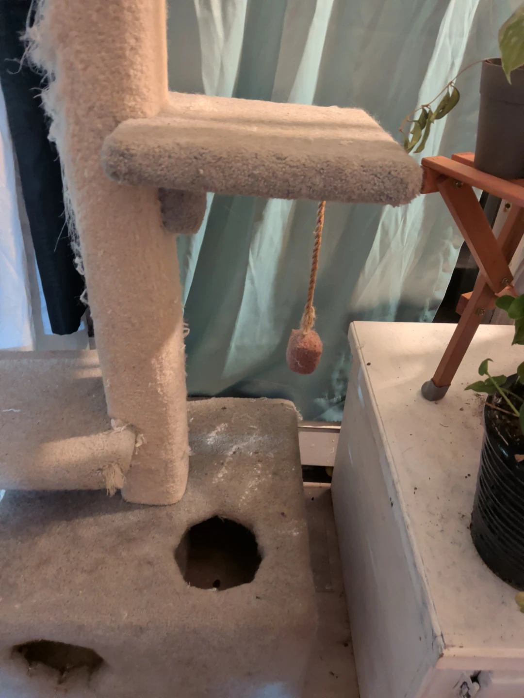 Beige Carpeted Cat Tree - photo 3