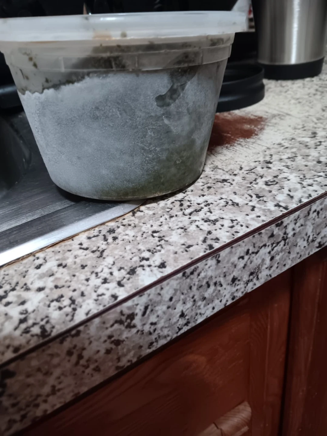 Plastic  Container Puerto Rican 🇵🇷  Sofrito