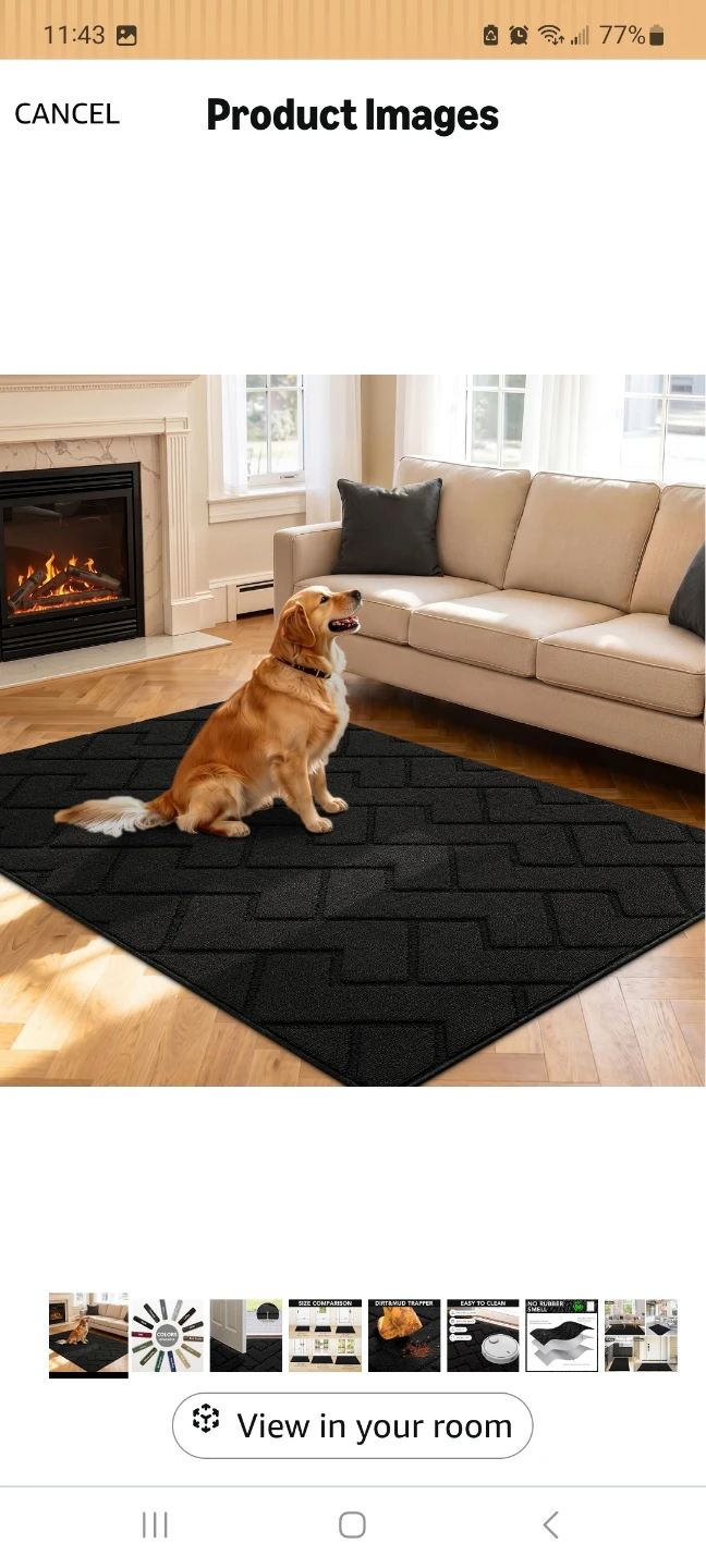 hicorfe Indoor Door Mat Black 47x71 - photo 3