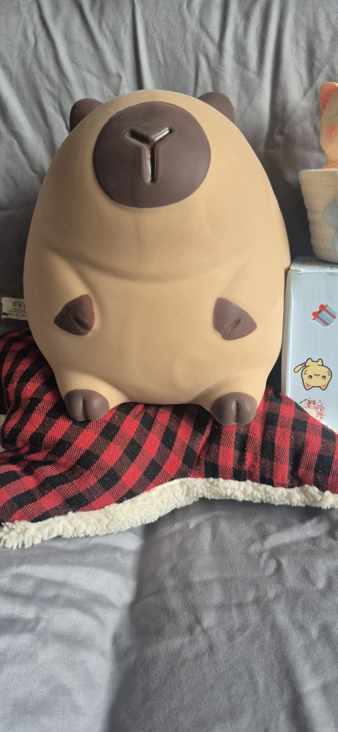 Jumbo Squishy Capybara.