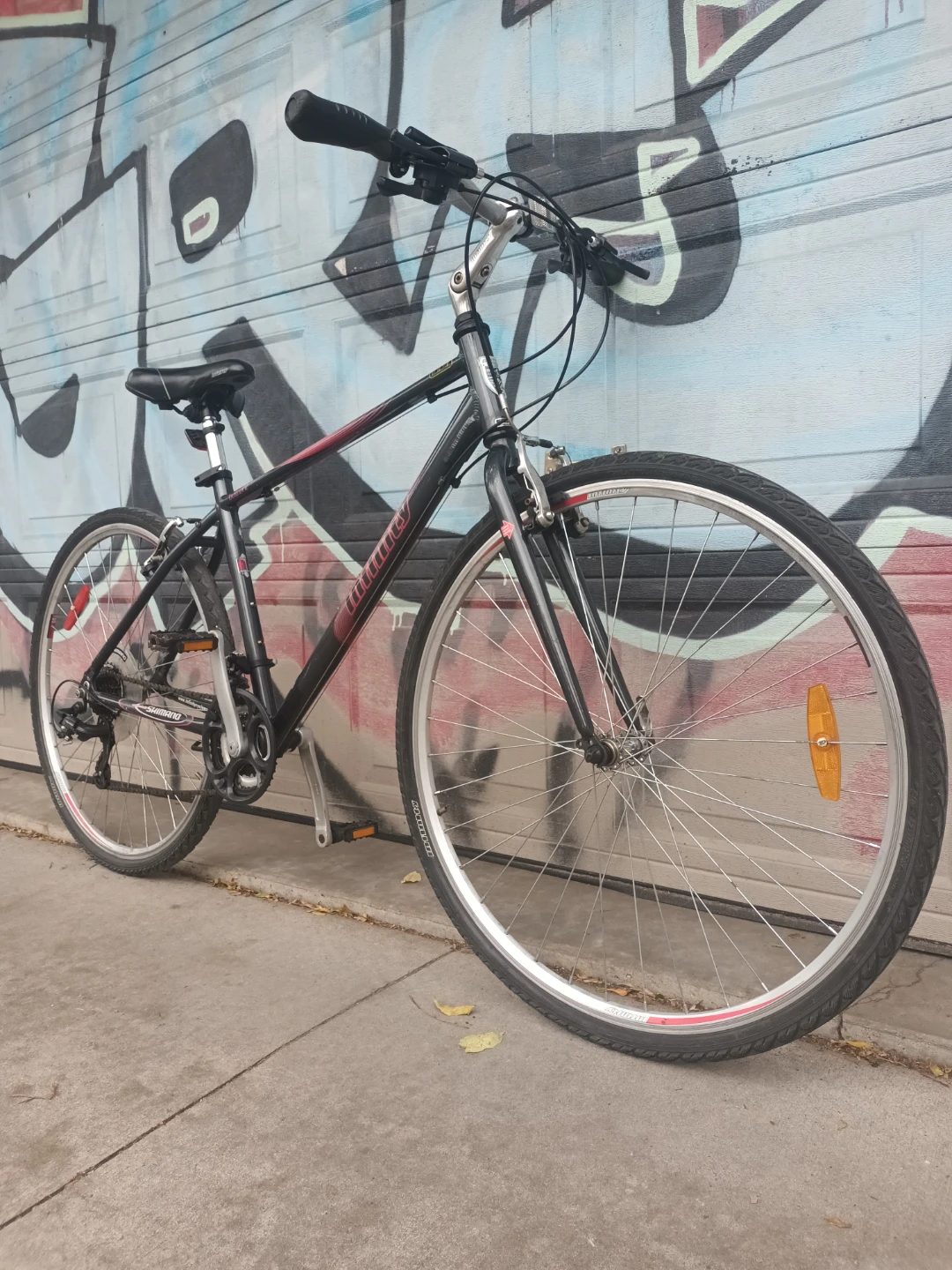 Infinity Hybrid Bike