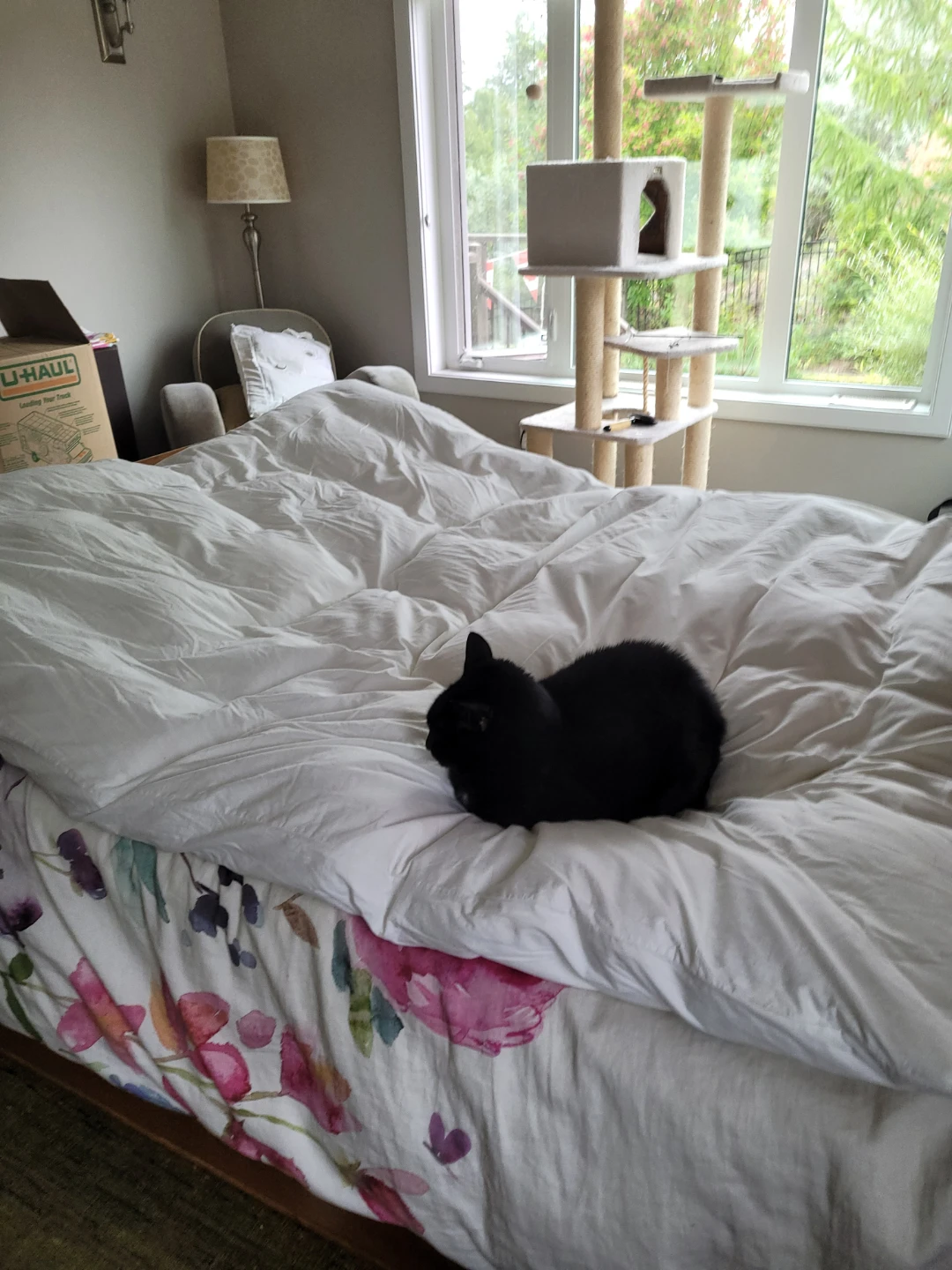 Gorgeous TWIN white duvet and cover