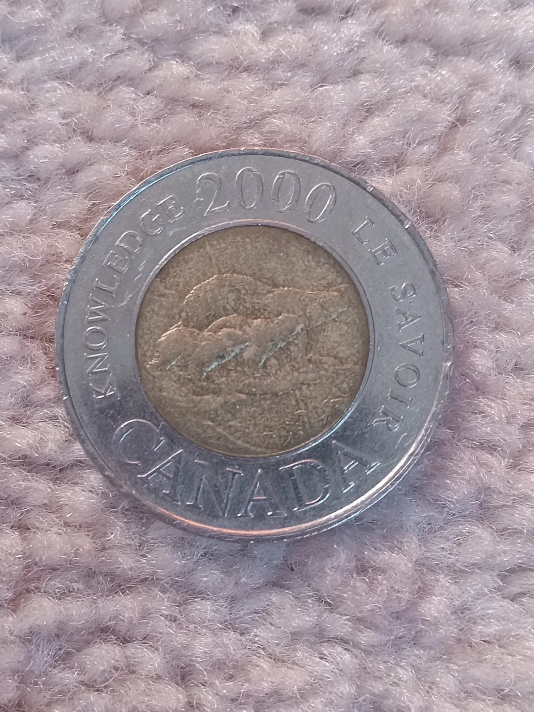 2000 Canadian Knowledge Toonie