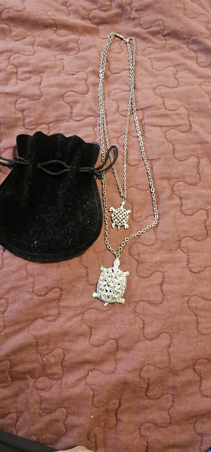 Turtles - photo 5