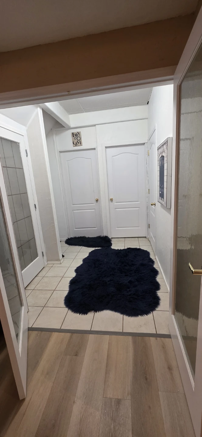 Bi level basement with shared entrance for rent - photo 5