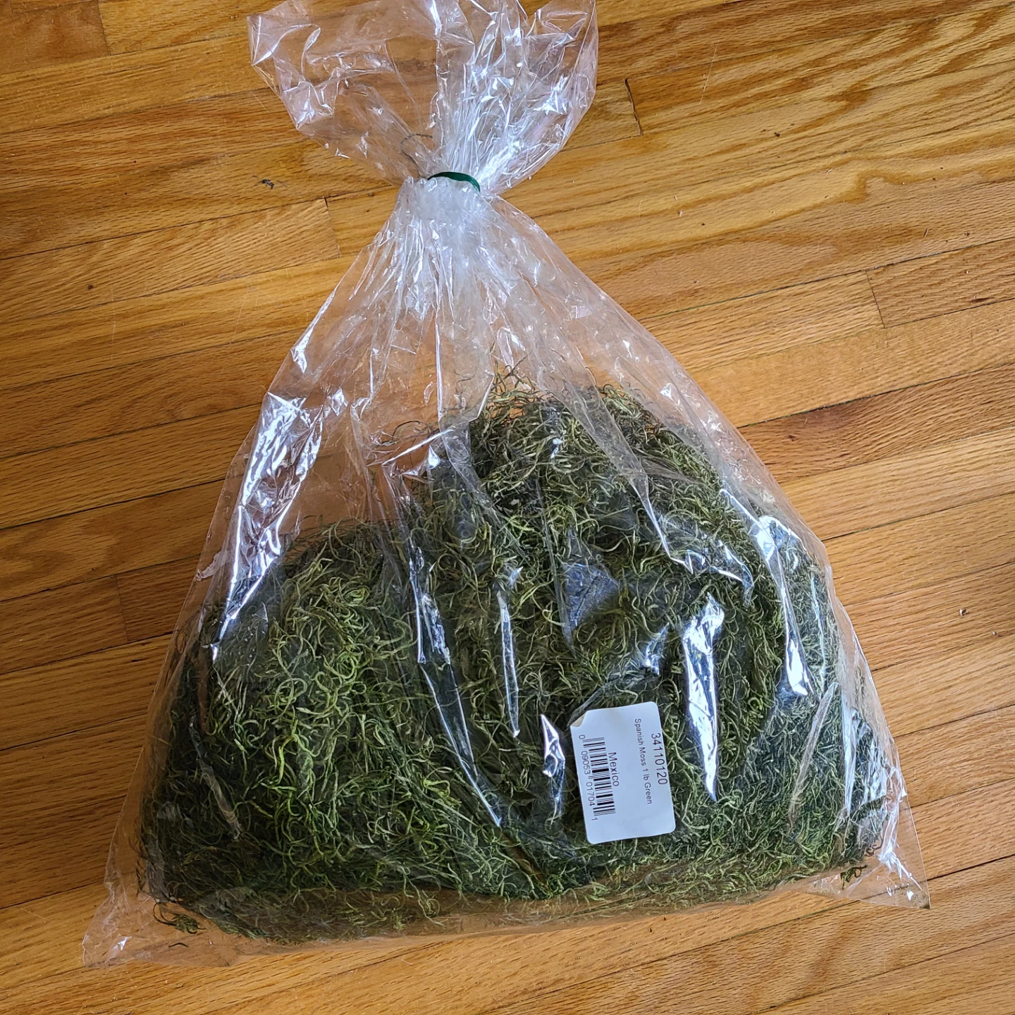 1 lb Bag of Green Spanish Moss