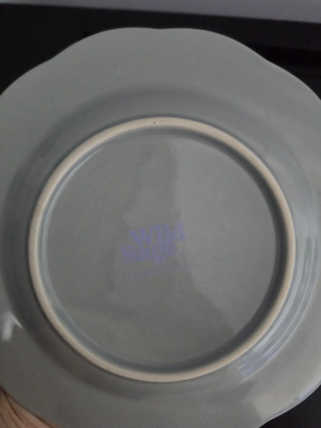Wild Sage Dinnerware Set - photo 5